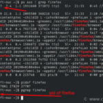 How to force kill process in Linux using kill and killall